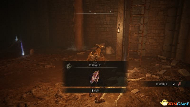 《艾爾登法環》圖文全劇情流程攻略 全支線全收集全Boss打法攻略 《艾爾登法環》圖文全劇情流程攻略 全支線全收集全Boss打法攻略