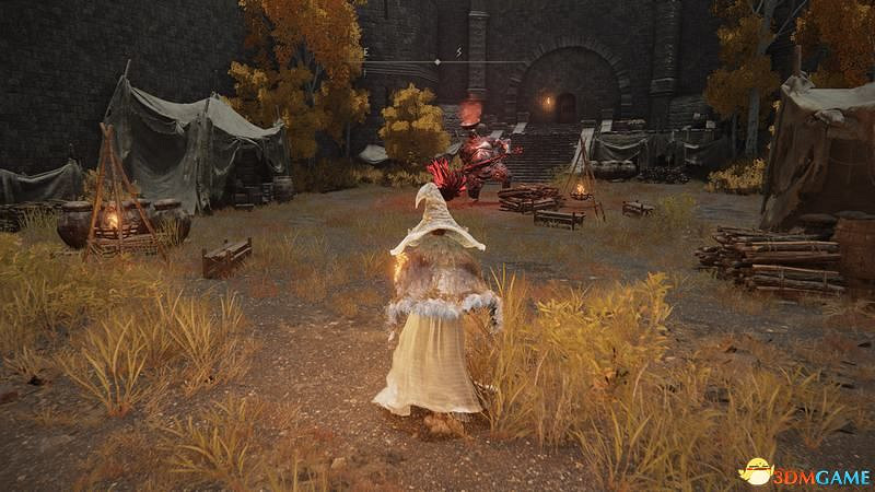 《艾爾登法環》圖文全劇情流程攻略 全支線全收集全Boss打法攻略