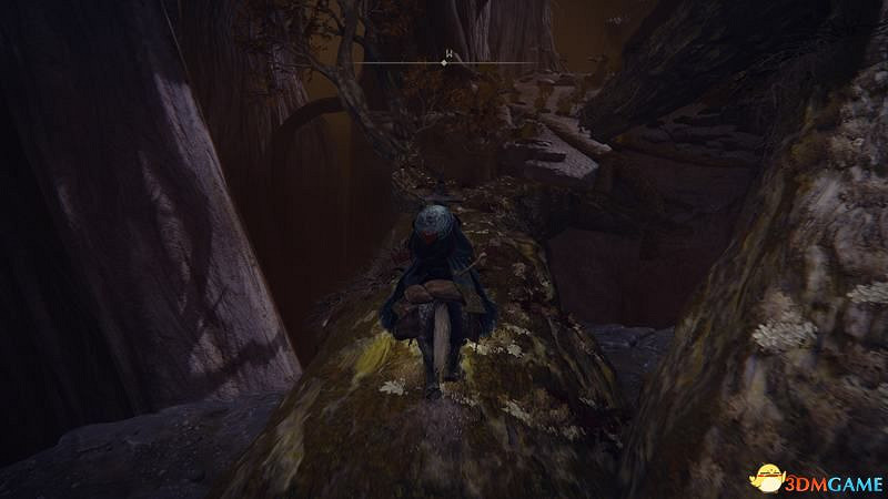 《艾爾登法環》圖文全劇情流程攻略 全支線全收集全Boss打法攻略