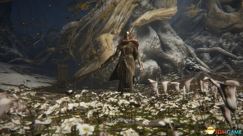 《艾爾登法環》圖文全劇情流程攻略 全支線全收集全Boss打法攻略 《艾爾登法環》圖文全劇情流程攻略 全支線全收集全Boss打法攻略