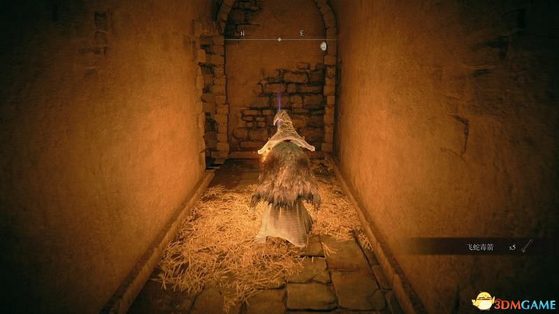 《艾爾登法環》圖文全劇情流程攻略 全支線全收集全Boss打法攻略