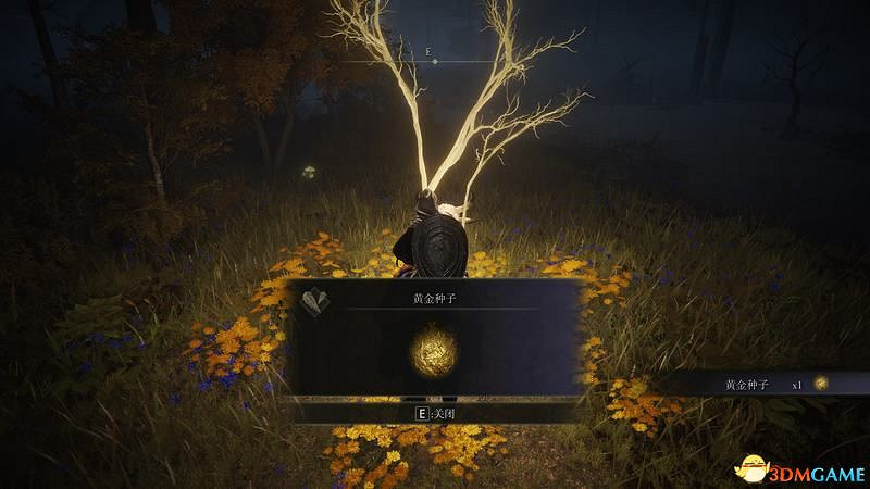 《艾爾登法環》圖文全劇情流程攻略 全支線全收集全Boss打法攻略