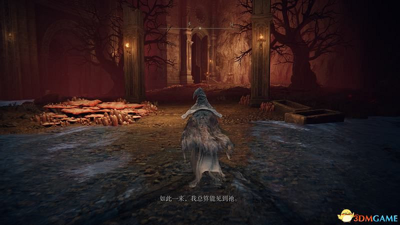 《艾爾登法環》圖文全劇情流程攻略 全支線全收集全Boss打法攻略