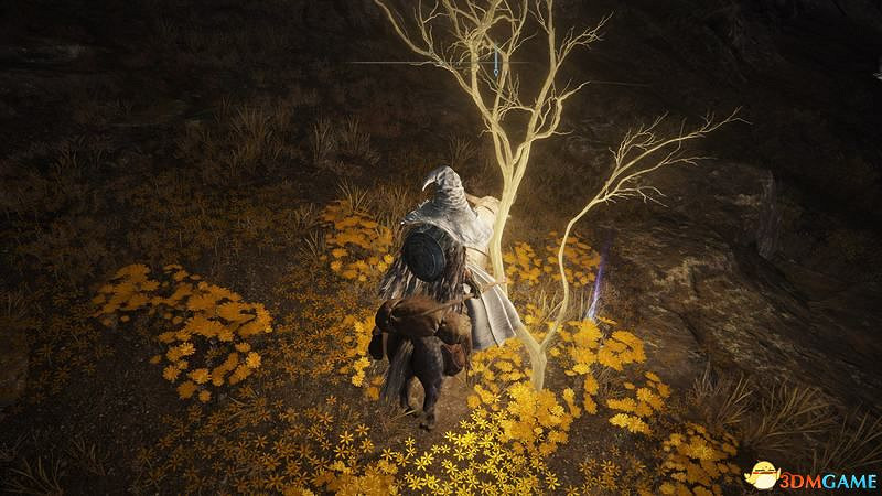 《艾爾登法環》圖文全劇情流程攻略 全支線全收集全Boss打法攻略 《艾爾登法環》圖文全劇情流程攻略 全支線全收集全Boss打法攻略