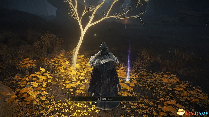 《艾爾登法環》圖文全劇情流程攻略 全支線全收集全Boss打法攻略