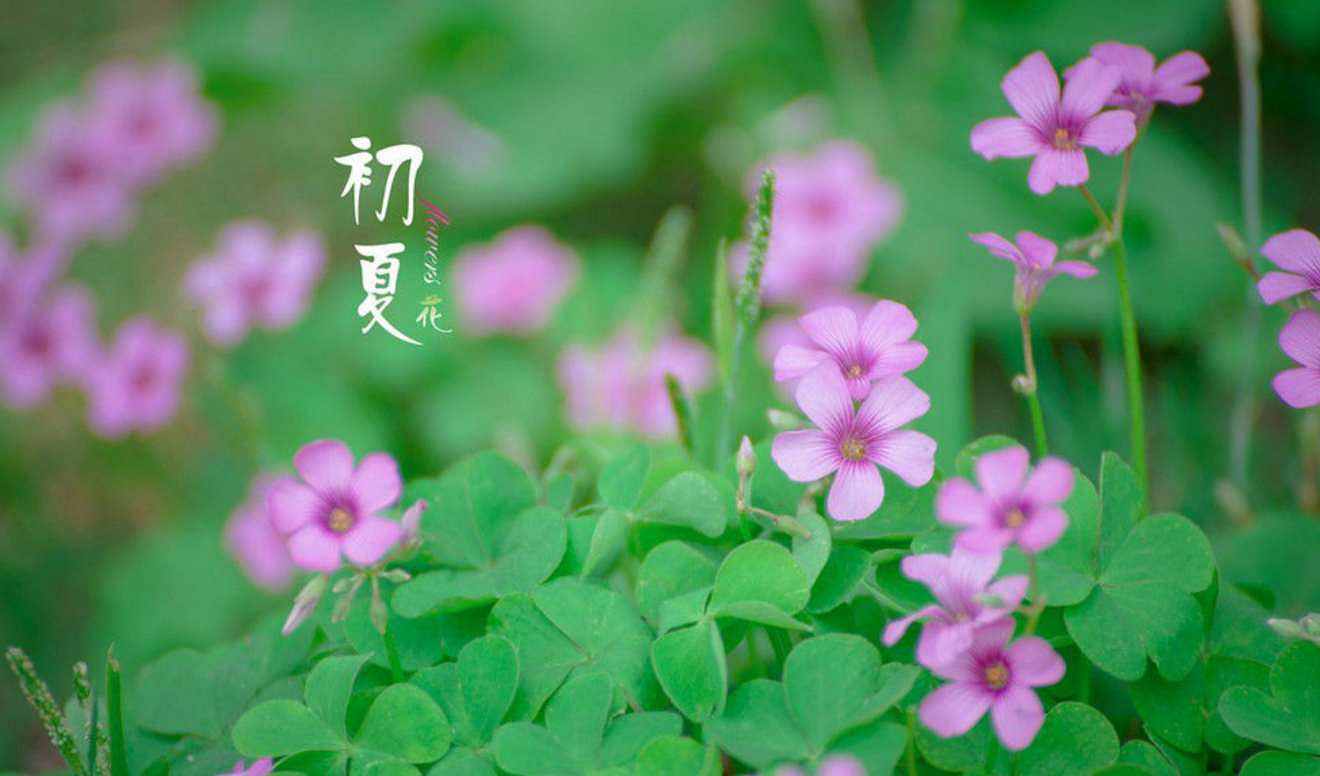 有詩意名字大全