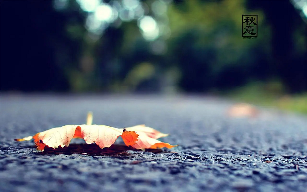 有詩意名字大全