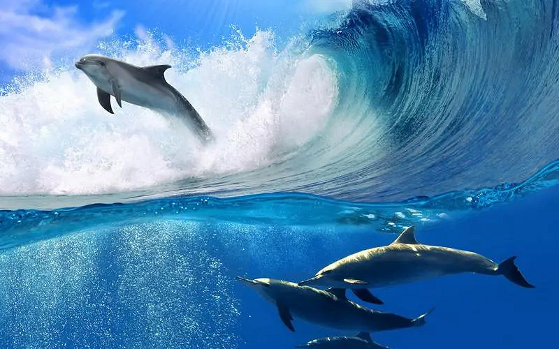 《英雄聯盟》口口口特殊網名一覽