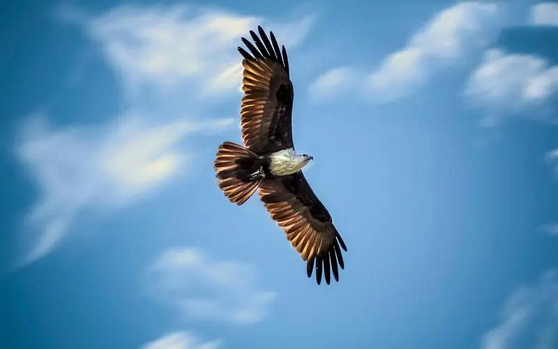 《英雄聯盟》獨一無二霸氣網名符號大全