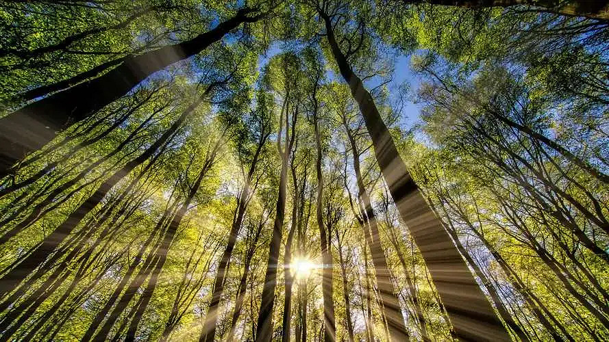 《英雄聯盟》口口口特殊網名一覽