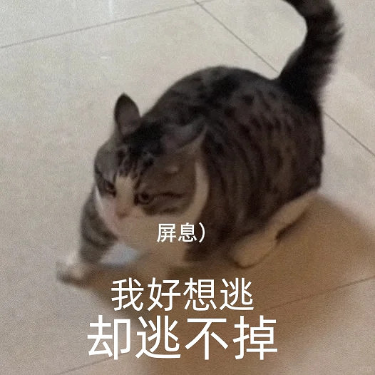 以為《星鳴特工》天下無敵 沒想到《無名九使》更是高手 以為《星鳴特工》天下無敵 沒想到《無名九使》更是高手