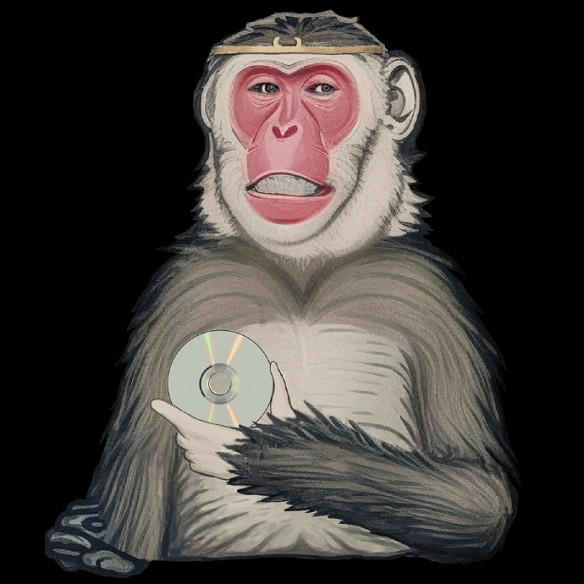 《黑神話：悟空》PS5實體盤上架海外各大電商平台！