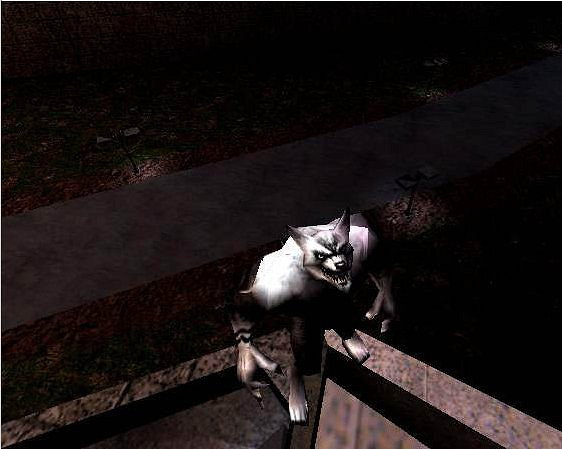 如何發金水:狼人殺中一賭博身份的悍跳策略 如何發金水:狼人殺中一賭博身份的悍跳策略