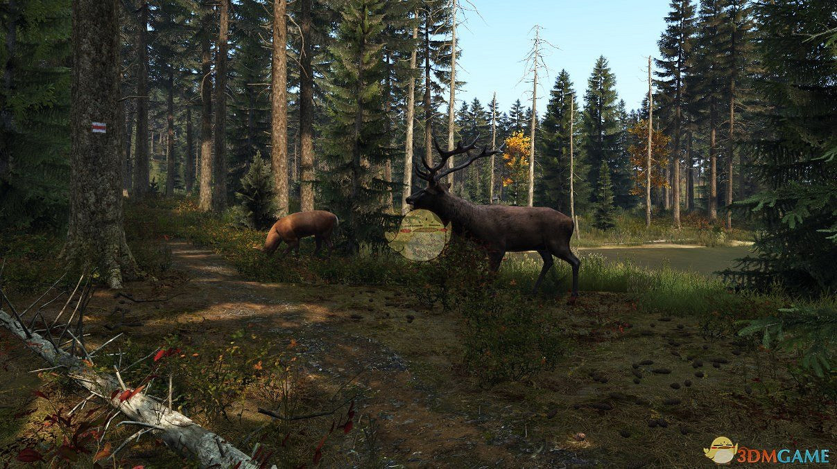 《DayZ》復活在森林應對方法分享 《DayZ》復活在森林應對方法分享