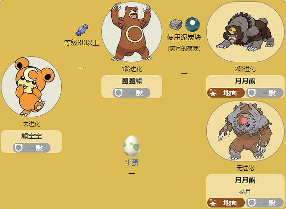 《寶可夢》月月熊全世代進化方法介紹最新