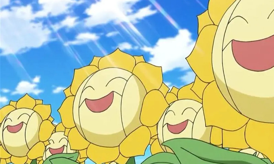 《寶可夢》向日花怪進化方法介紹最新