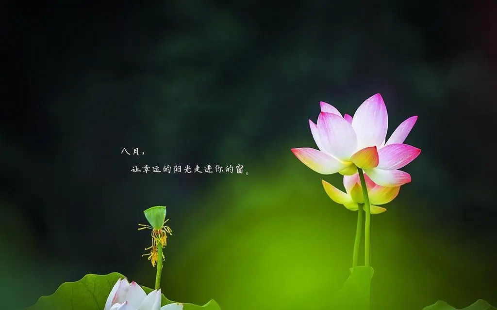 《英雄聯盟》一生運氣最好的網名大全 《英雄聯盟》一生運氣最好的網名大全