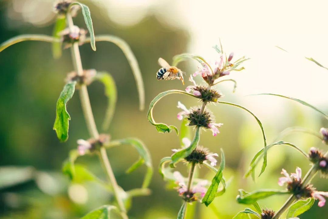 《英雄聯盟》女人有涵養的網名大全
