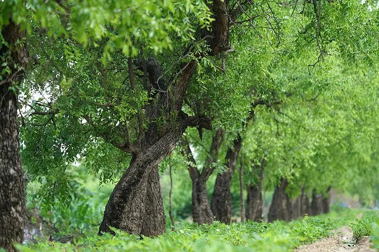 《英雄聯盟》有深意的二字暱稱介紹