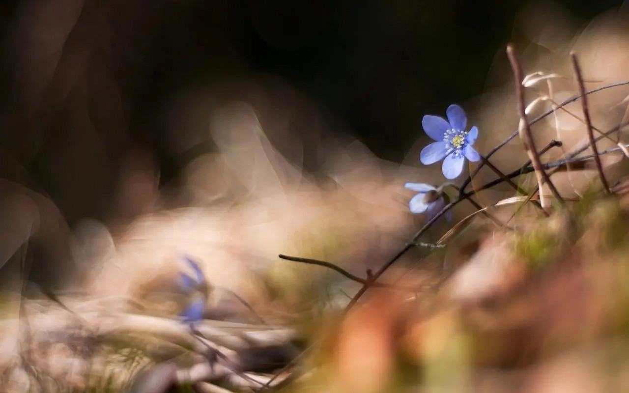 《英雄聯盟》有深意的二字暱稱介紹