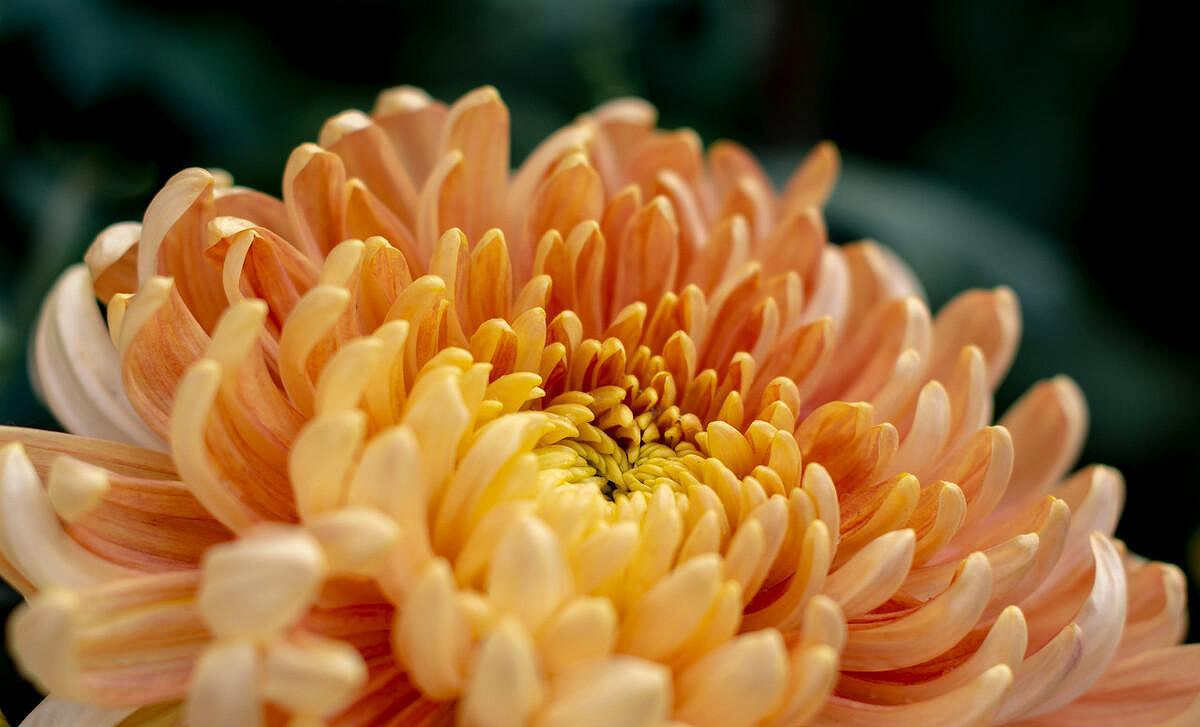 《英雄聯盟》女人有涵養的網名大全