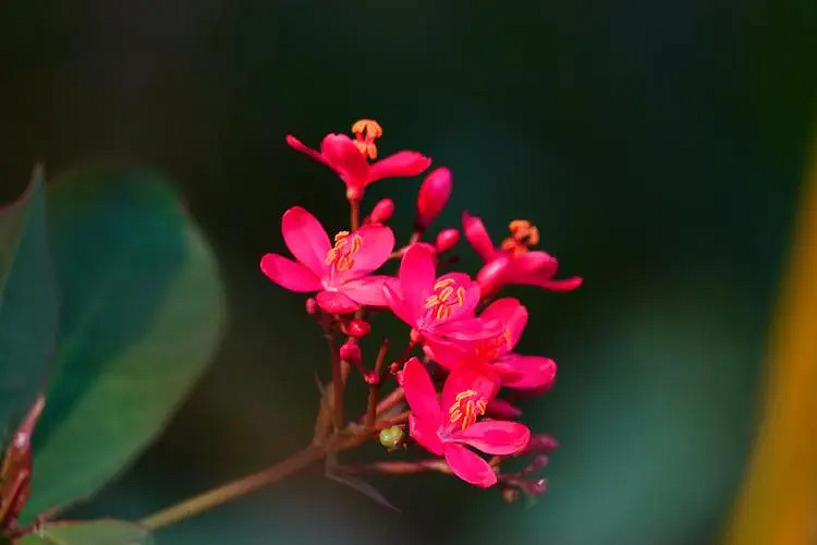 《英雄聯盟》低調的網名分享