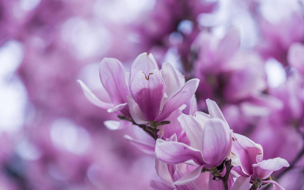 《英雄聯盟》有深意的二字暱稱介紹