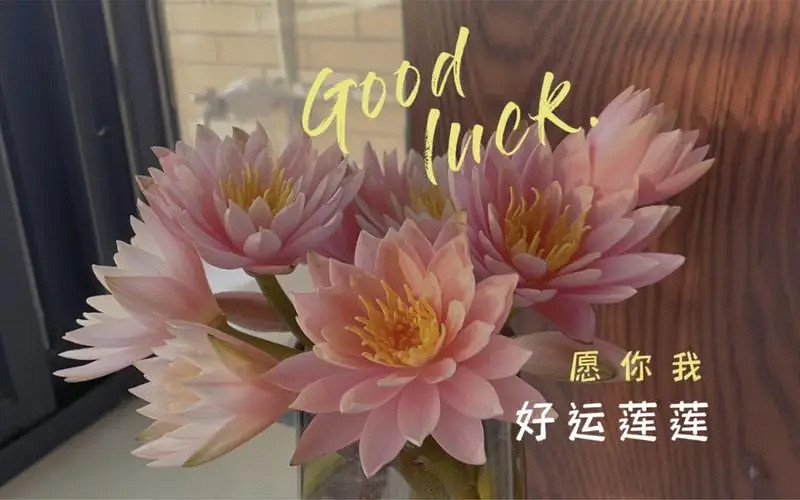 《英雄聯盟》一生運氣最好的網名大全 《英雄聯盟》一生運氣最好的網名大全