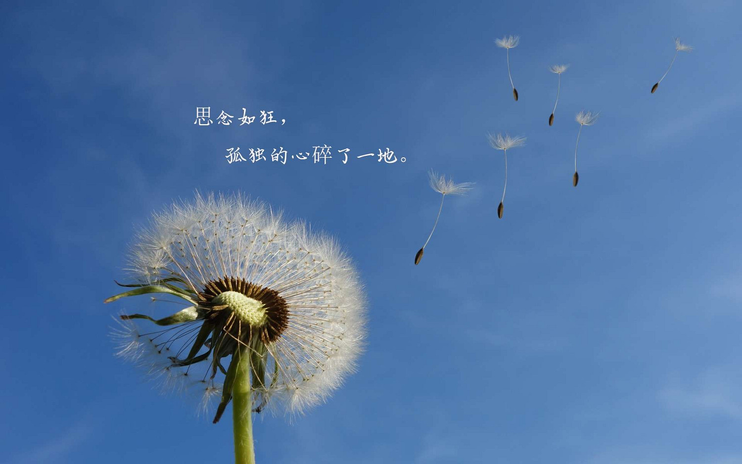 《英雄聯盟》洋氣的網名大全複件