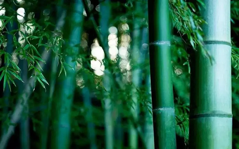 《英雄聯盟》有深意的二字暱稱介紹