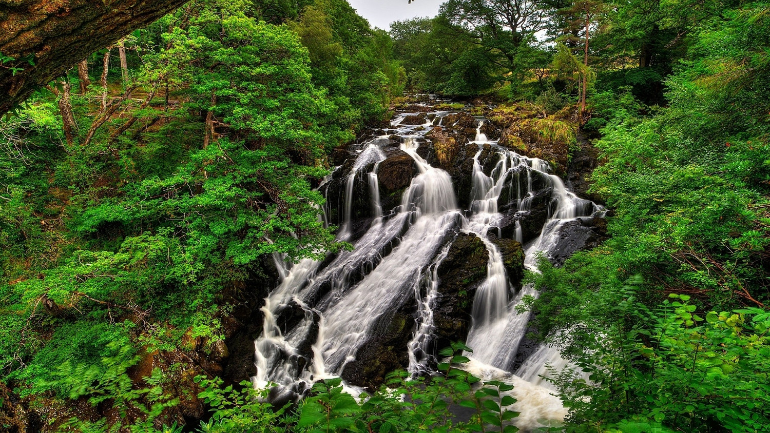 《英雄聯盟》網名男生成熟穩重一覽 《英雄聯盟》網名男生成熟穩重一覽