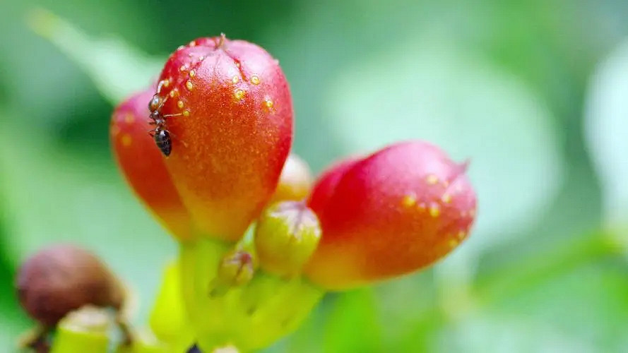 《英雄聯盟》有深意的二字暱稱介紹