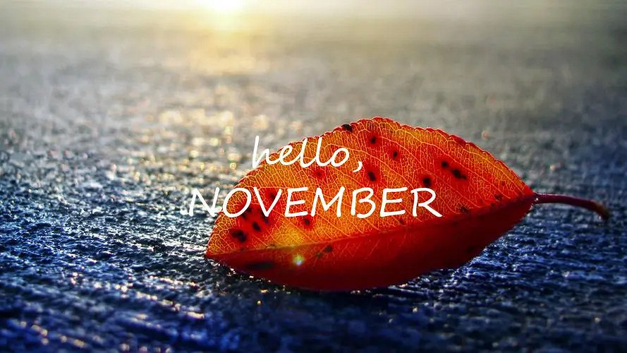 《英雄聯盟》洋氣的網名大全 《英雄聯盟》洋氣的網名大全