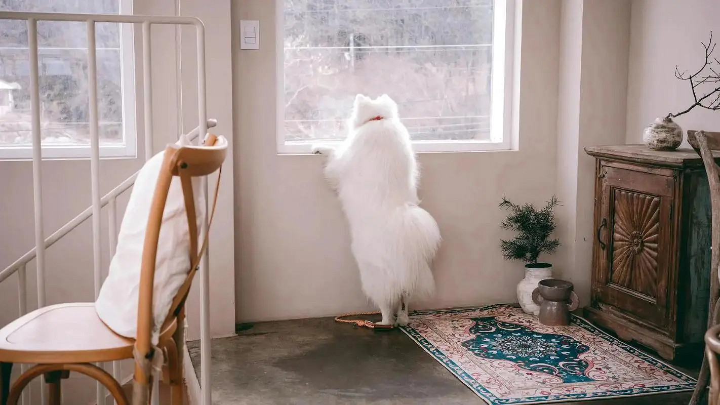 《英雄聯盟》一看就舒服的網名大全 《英雄聯盟》一看就舒服的網名大全