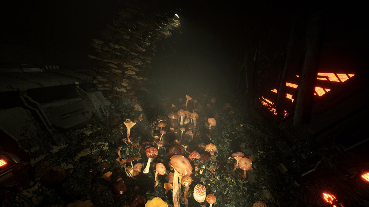 恐怖遊戲《動物使用協議》Steam頁面公布 後年發行 恐怖遊戲《動物使用協議》Steam頁面公布 後年發行