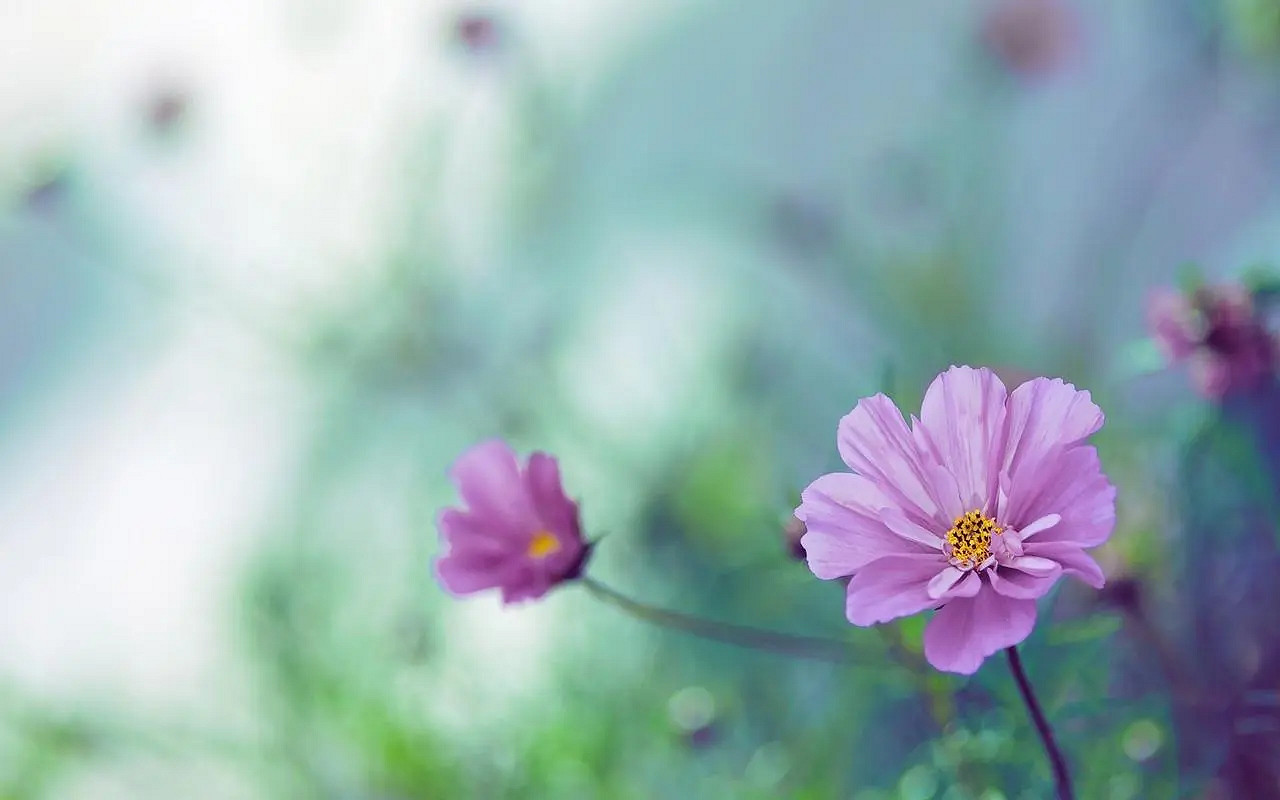 《英雄聯盟》低調的網名分享