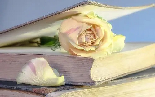 《英雄聯盟》又野性又撩人的情侶網名大全