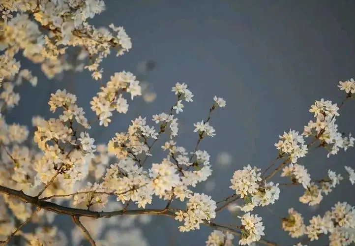 《英雄聯盟》女人有涵養的網名大全