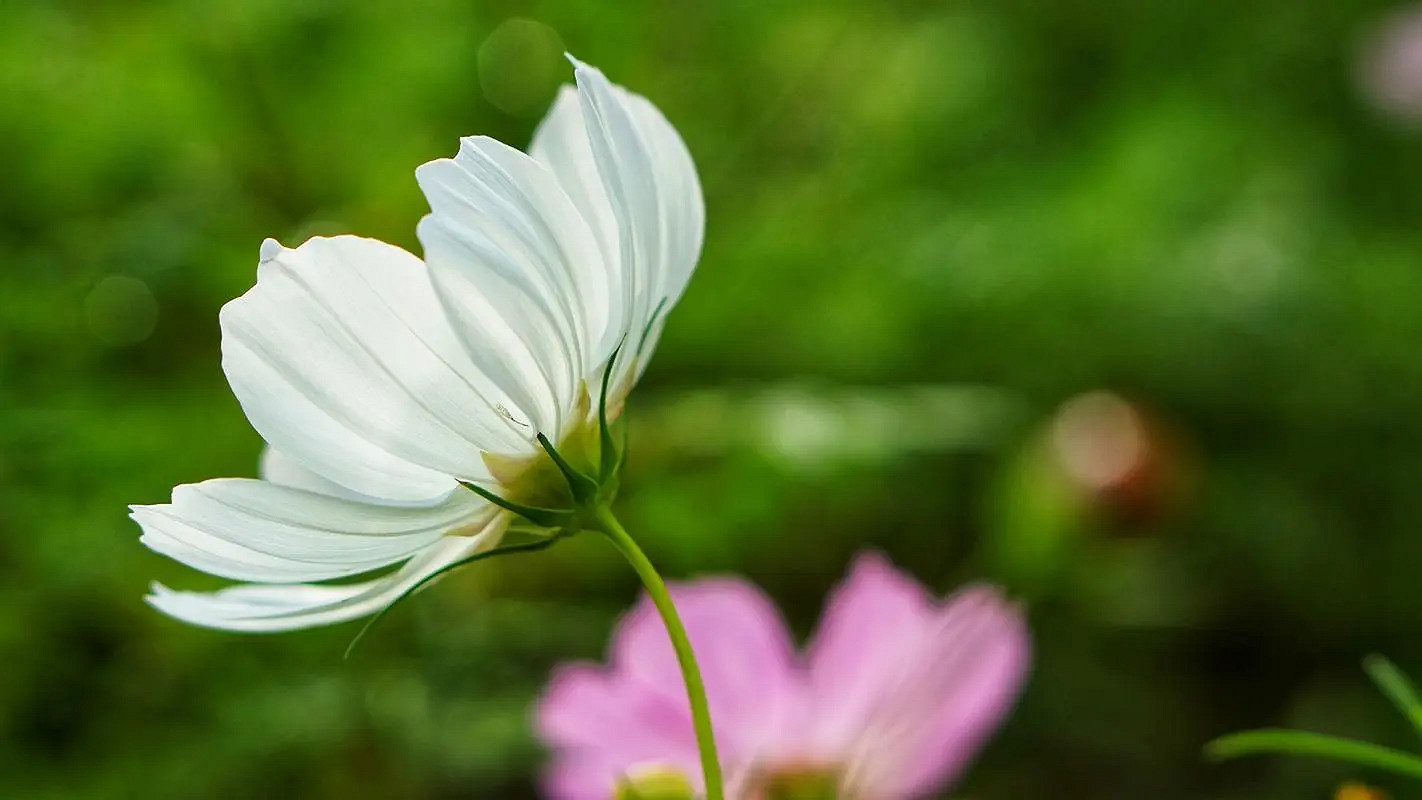 《英雄聯盟》一看就舒服的網名大全 《英雄聯盟》一看就舒服的網名大全