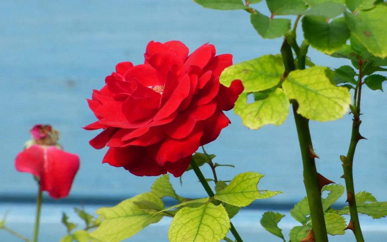 《英雄聯盟》有深意的二字暱稱介紹