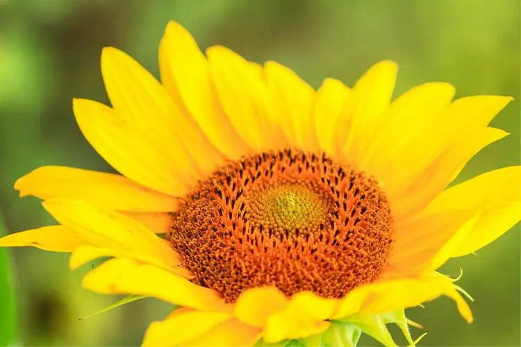 《英雄聯盟》低調的網名分享