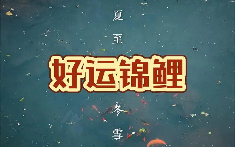 《英雄聯盟》一生運氣最好的網名大全 《英雄聯盟》一生運氣最好的網名大全