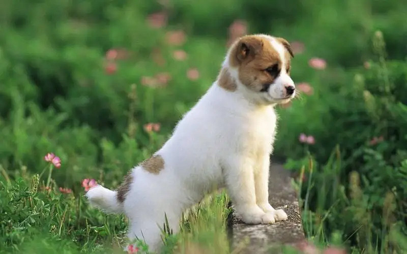 《英雄聯盟》個性網名暱稱大全