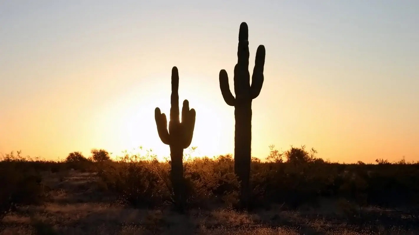 《英雄聯盟》男人有格局的網名一覽