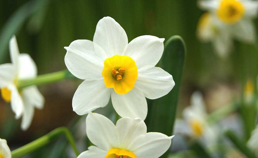 《英雄聯盟》洋氣的網名大全 《英雄聯盟》洋氣的網名大全