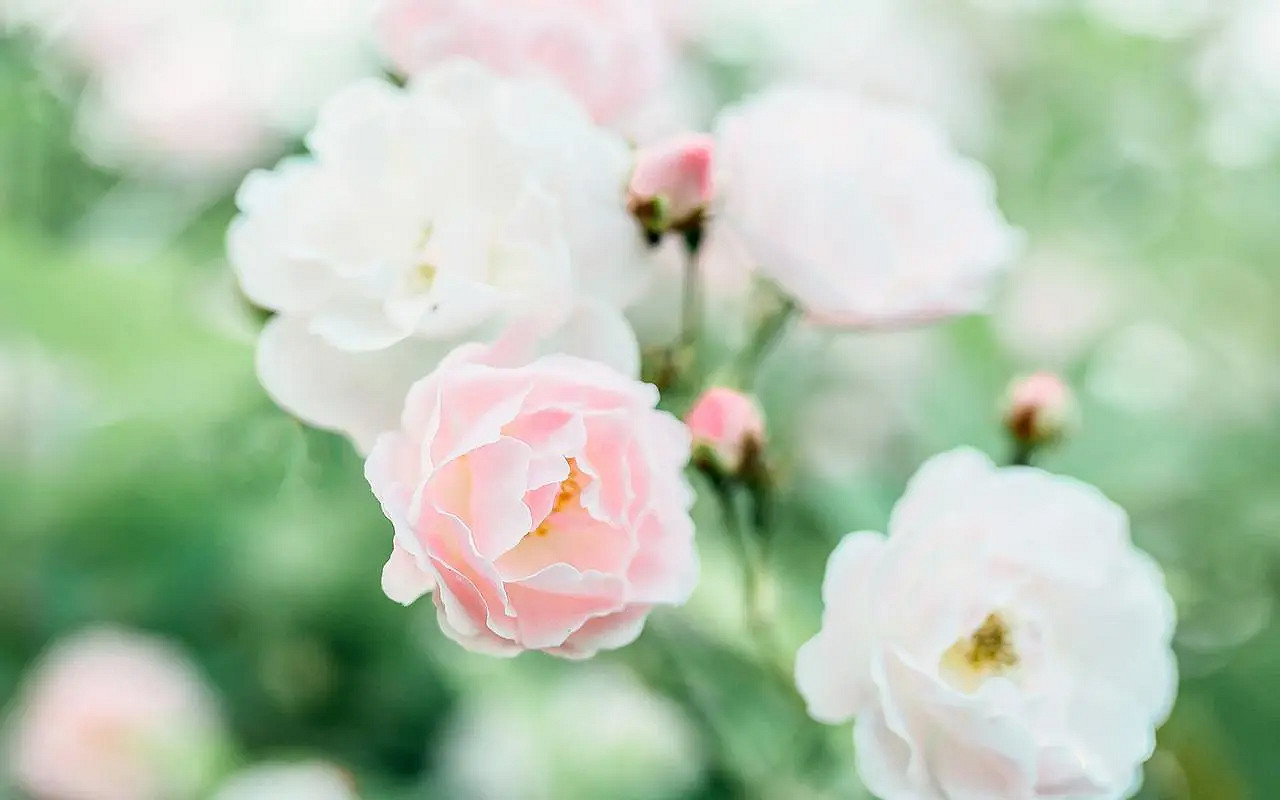 《英雄聯盟》兩個字暖心暱稱大全