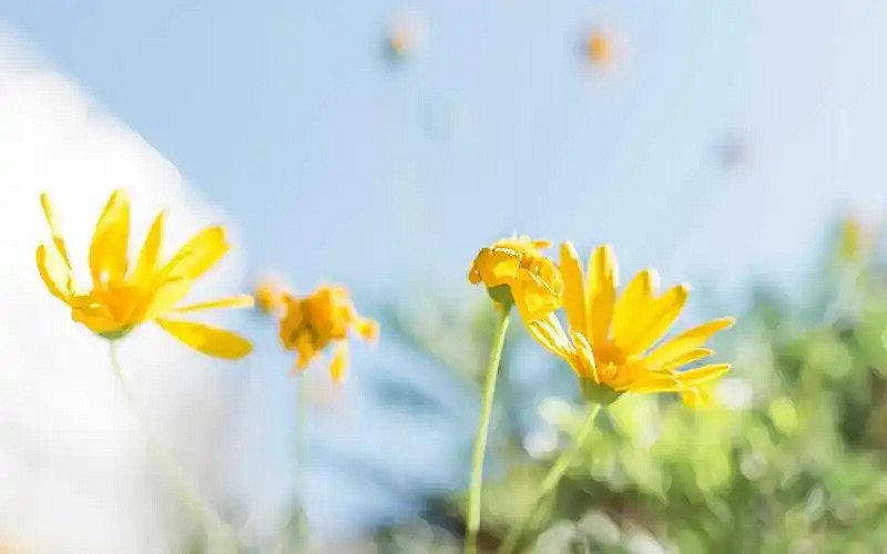 《英雄聯盟》兩個字暖心暱稱大全