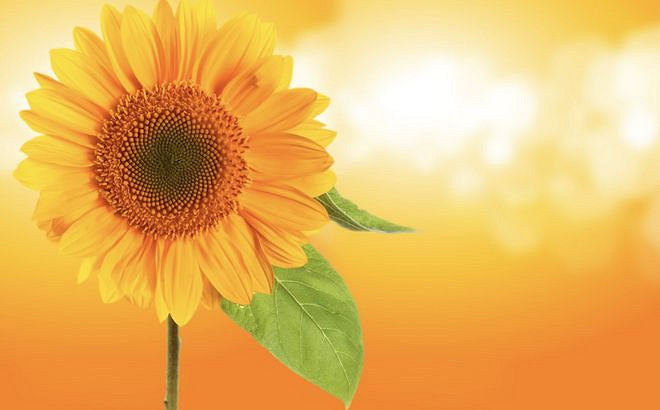 《英雄聯盟》寓意好的網名帶來好運介紹