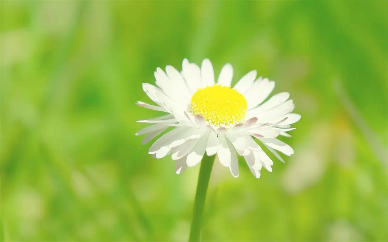 《英雄聯盟》好聽淡雅的網名推薦