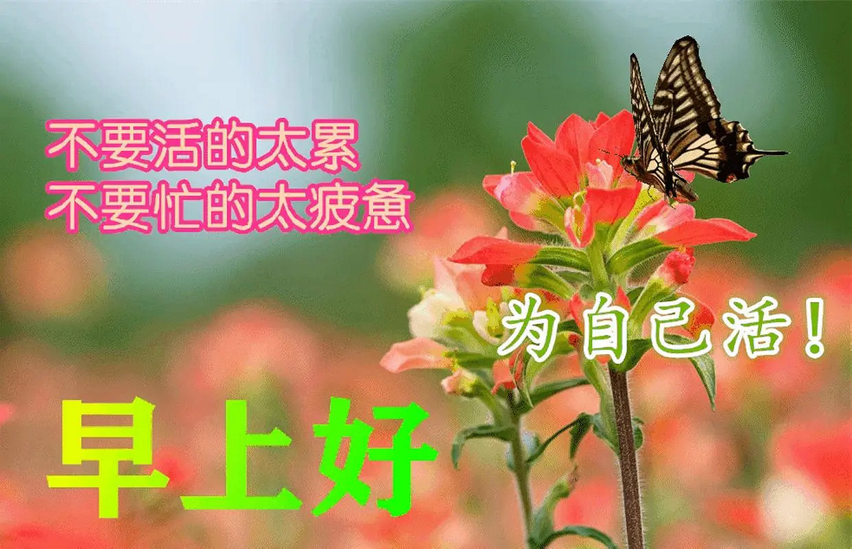 《英雄聯盟》寓意好的網名帶來好運介紹